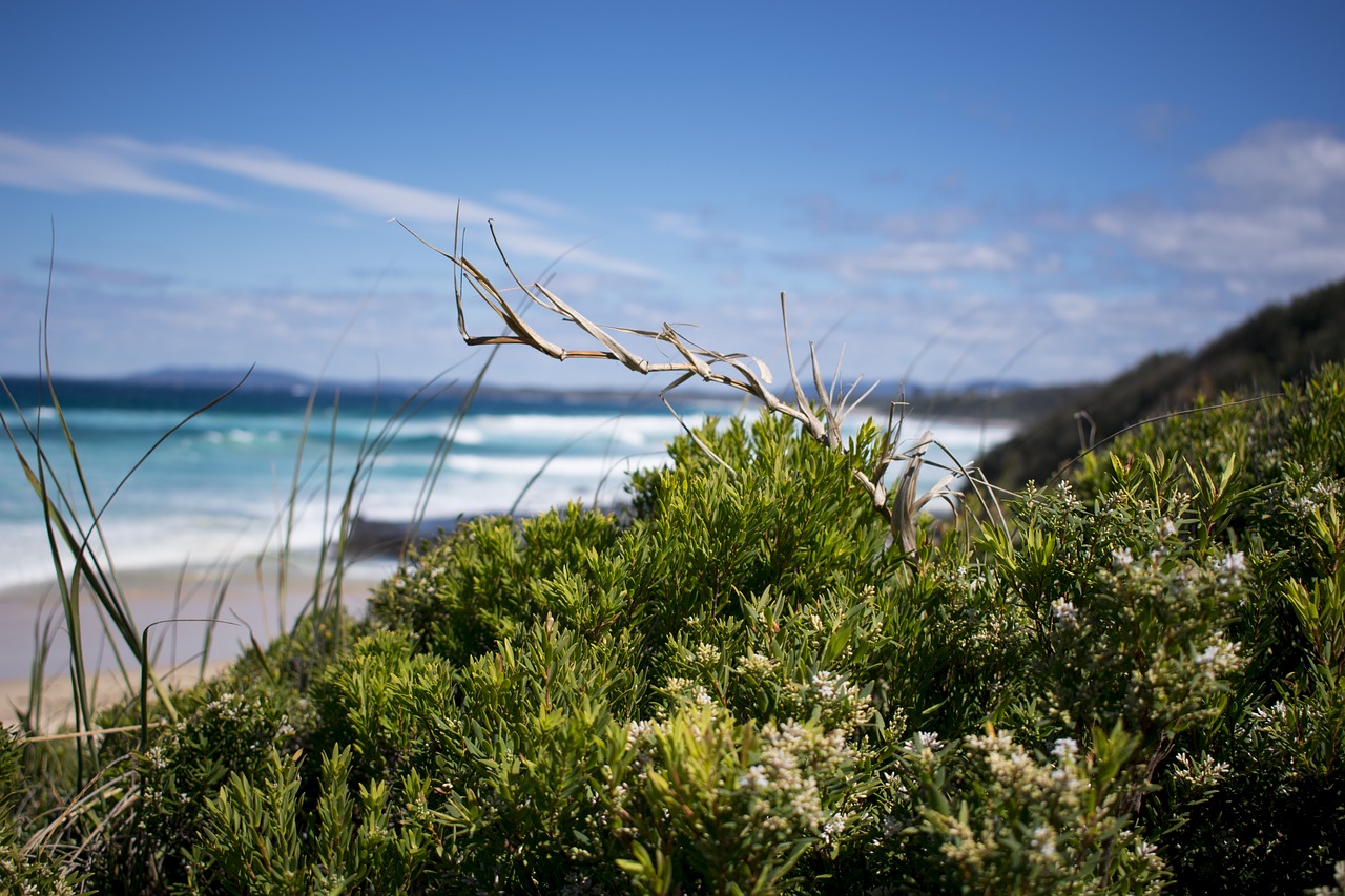 water nature sea free photo