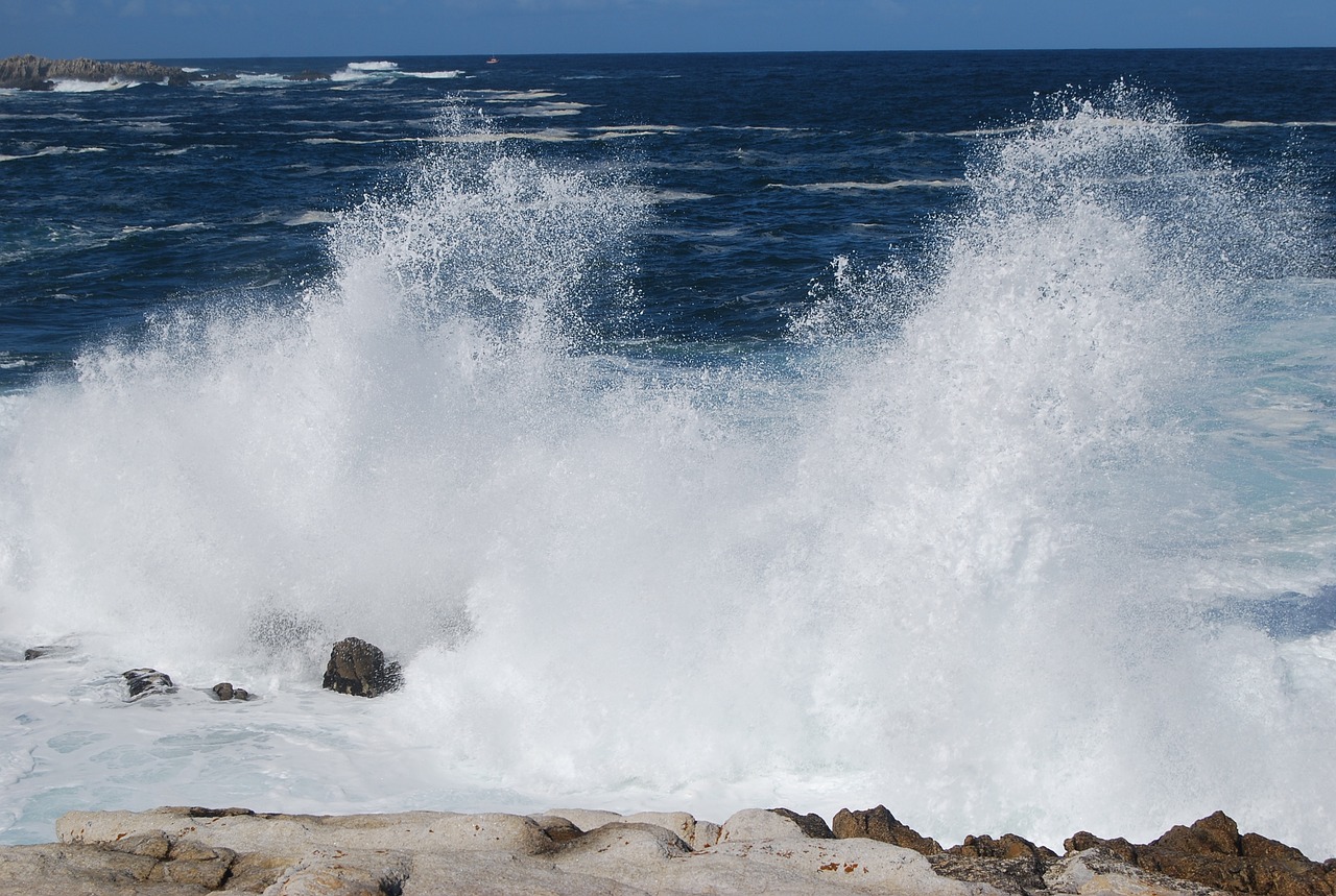 water surf sea free photo