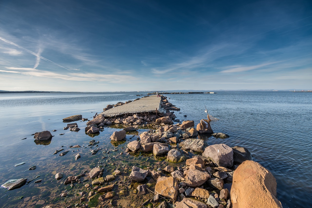 water sea seashore free photo