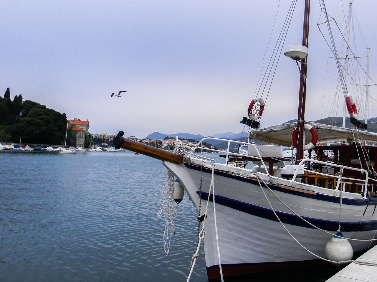 water sea sailboat free photo