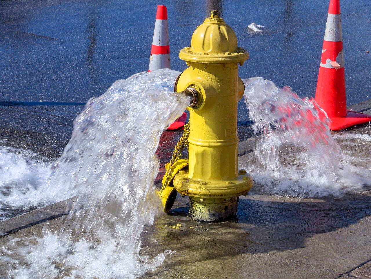 water safety spray free photo