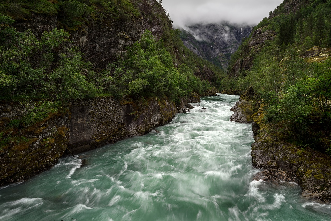 water nature river free photo