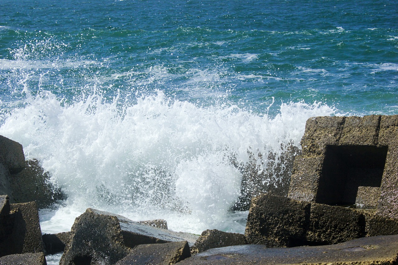 water sea seashore free photo