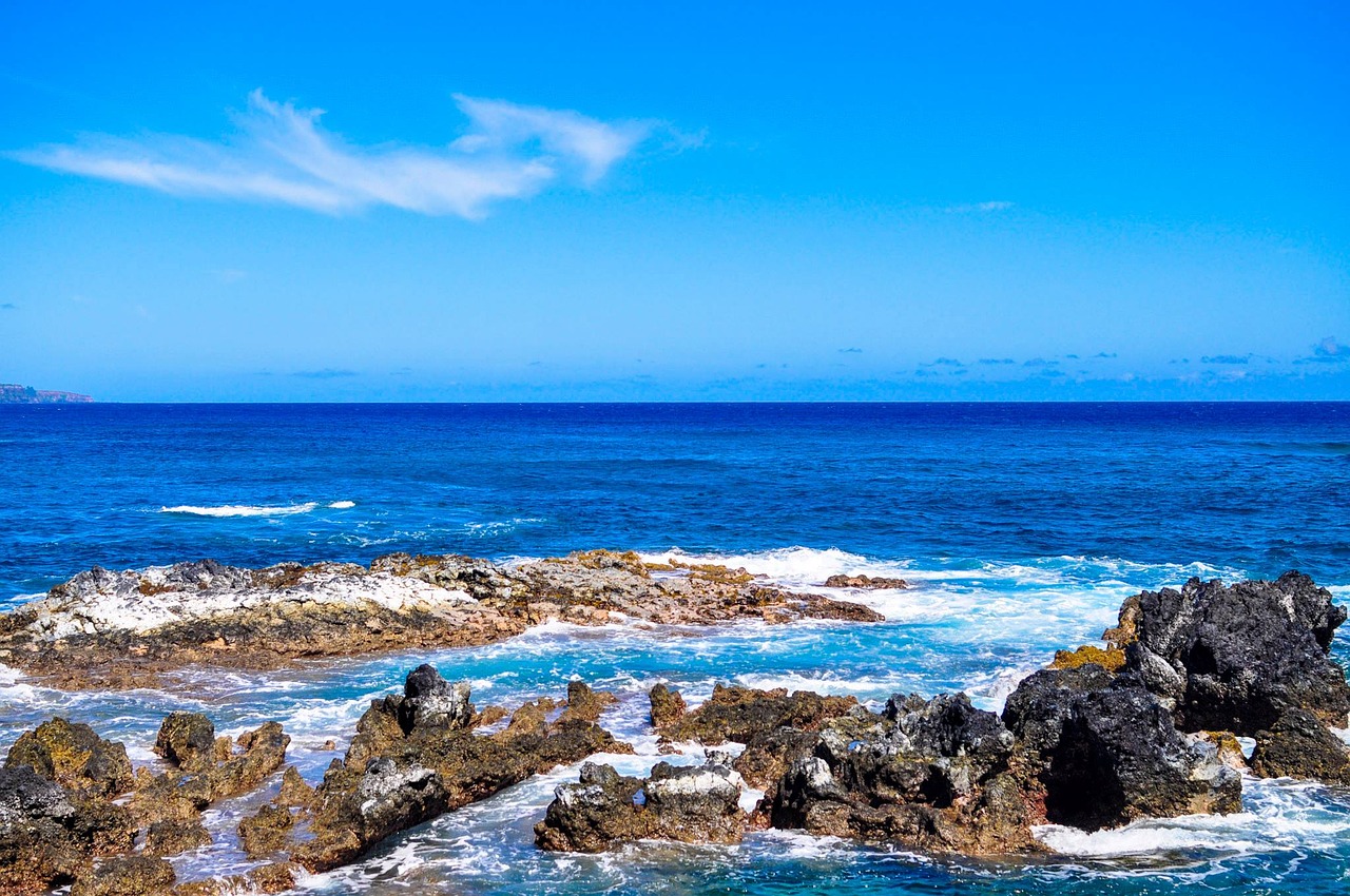 water sea seashore free photo