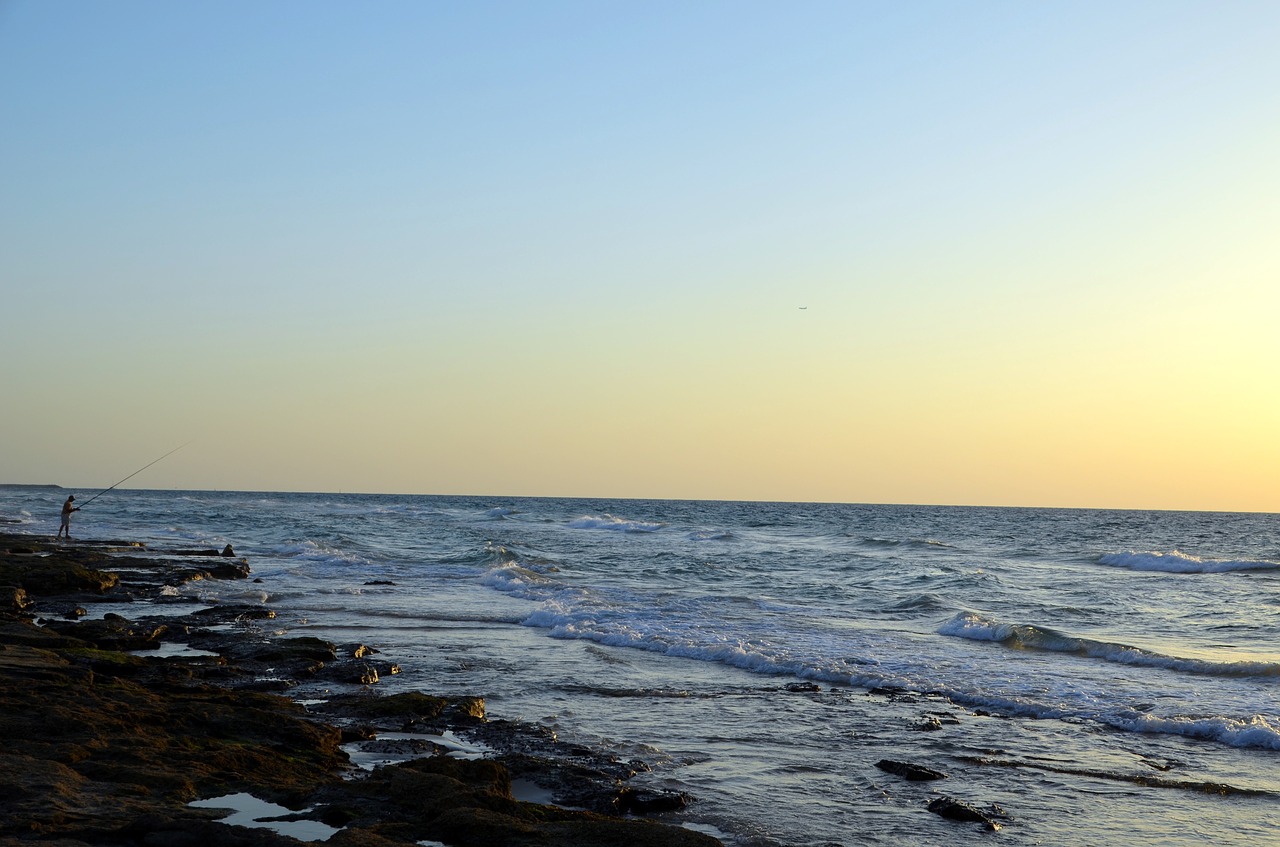 water sea sunset free photo