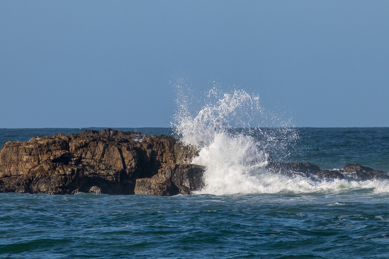 water sea nature free photo