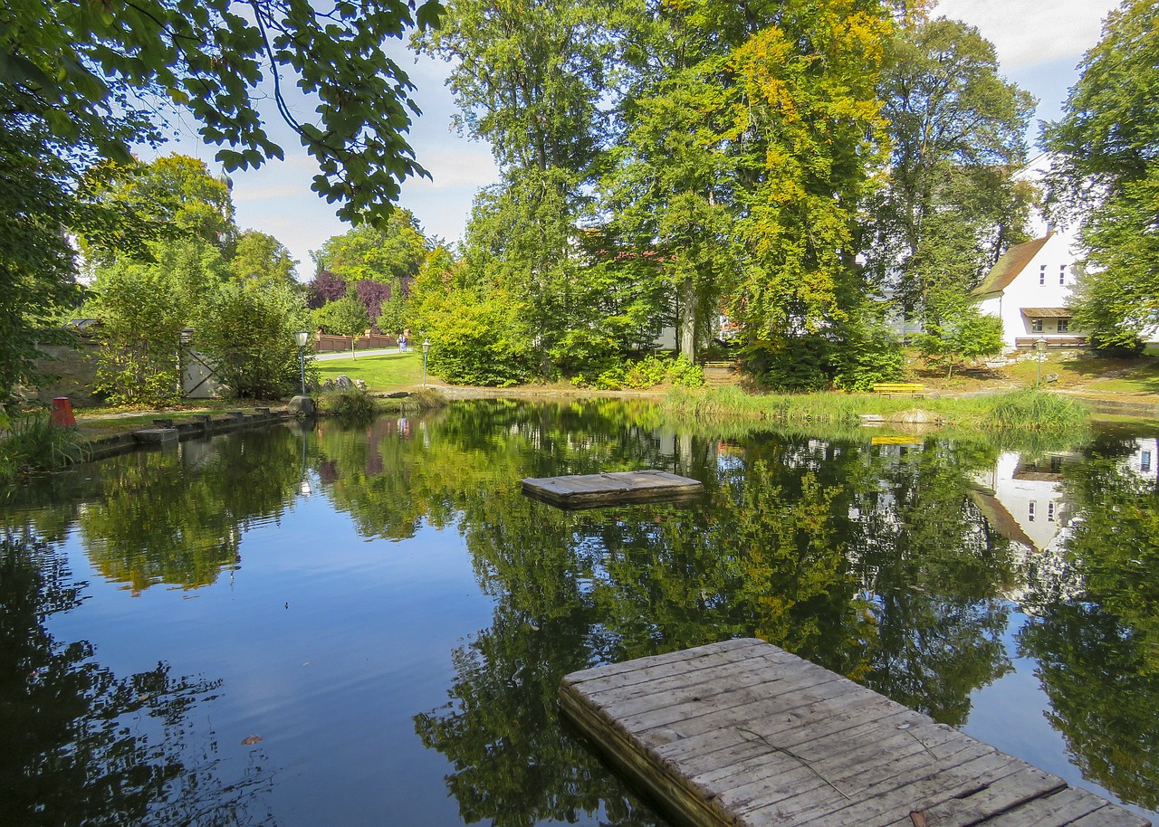 water nature tree free photo