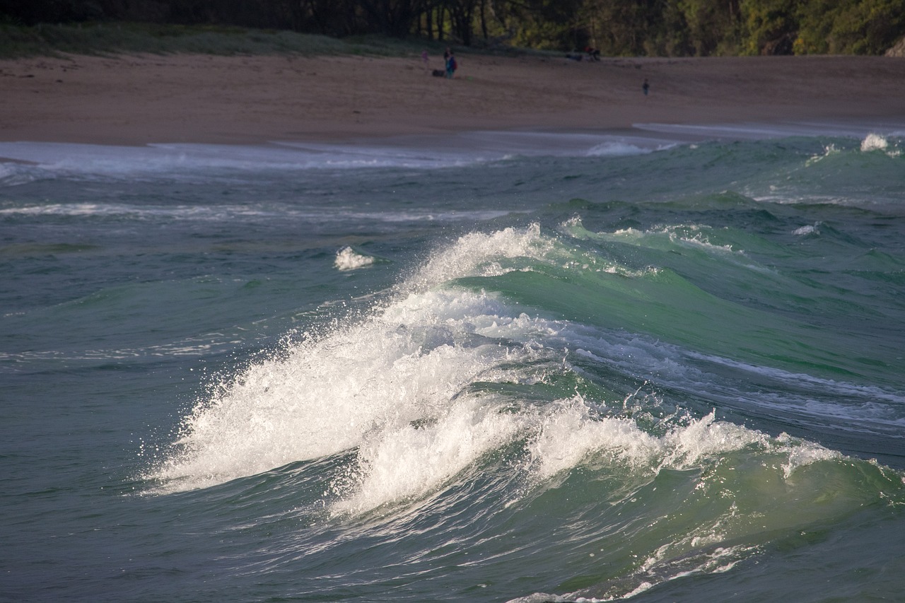 water surf sea free photo