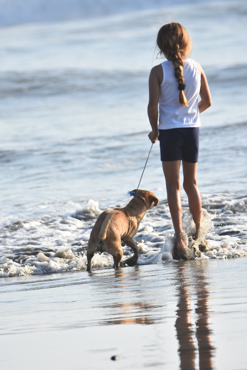 water beach outdoors free photo