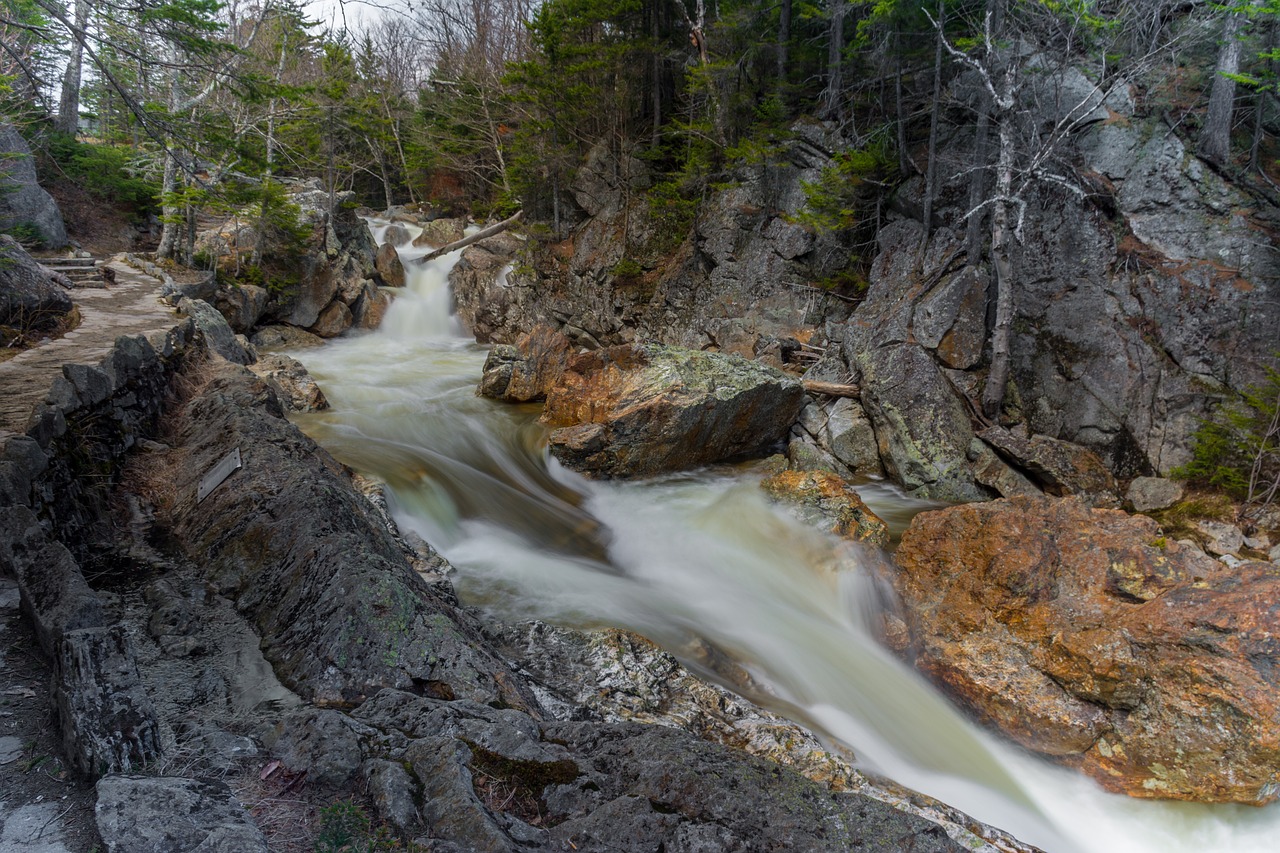 water nature stream free photo