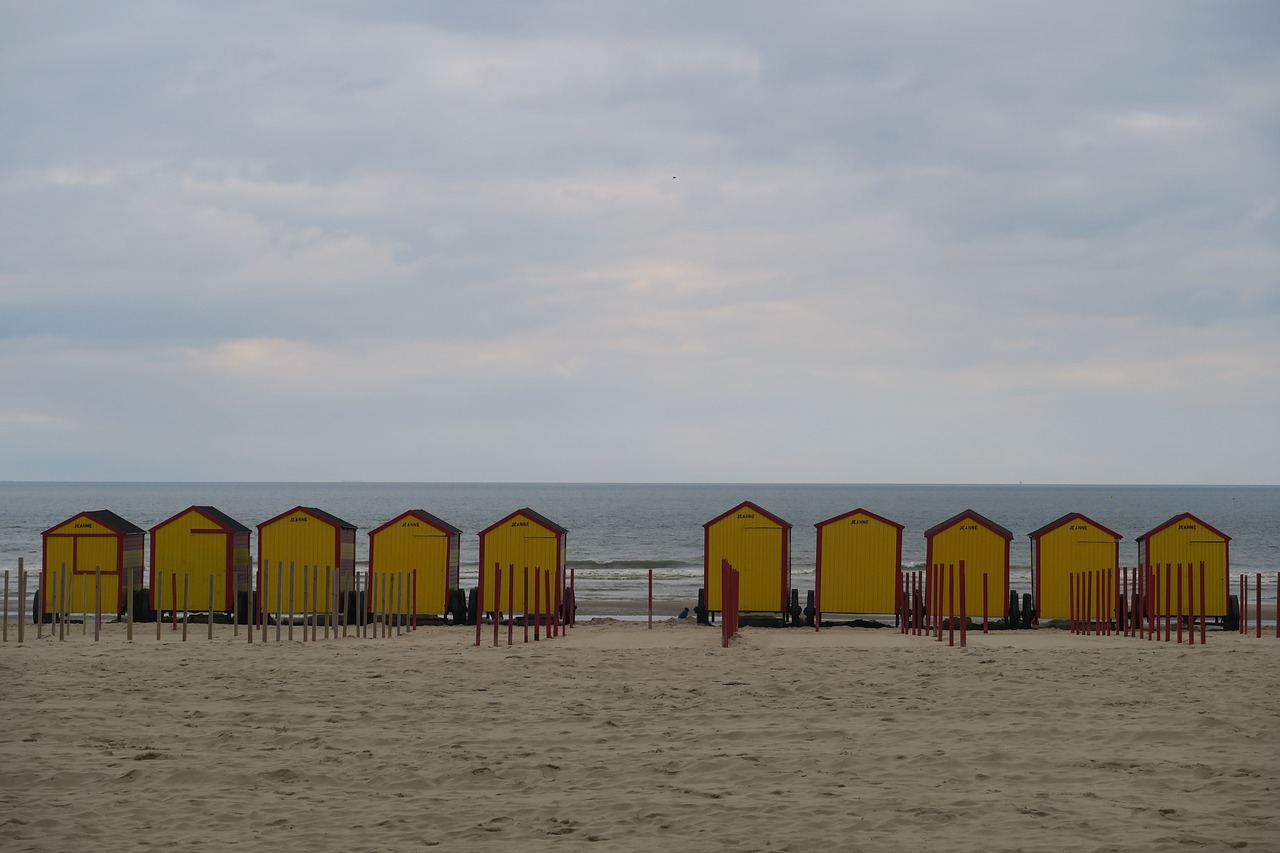 water  sea  beach free photo