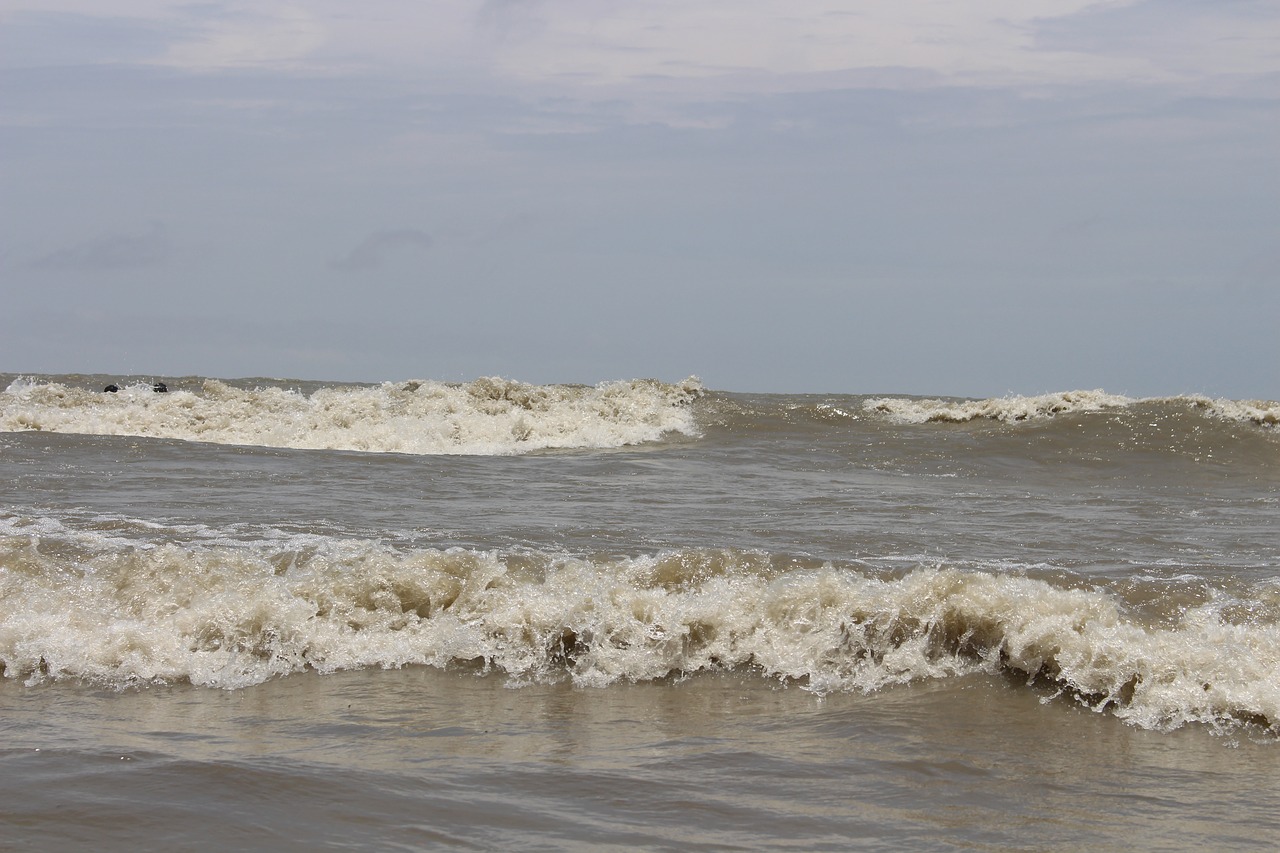 water  sea  beach free photo