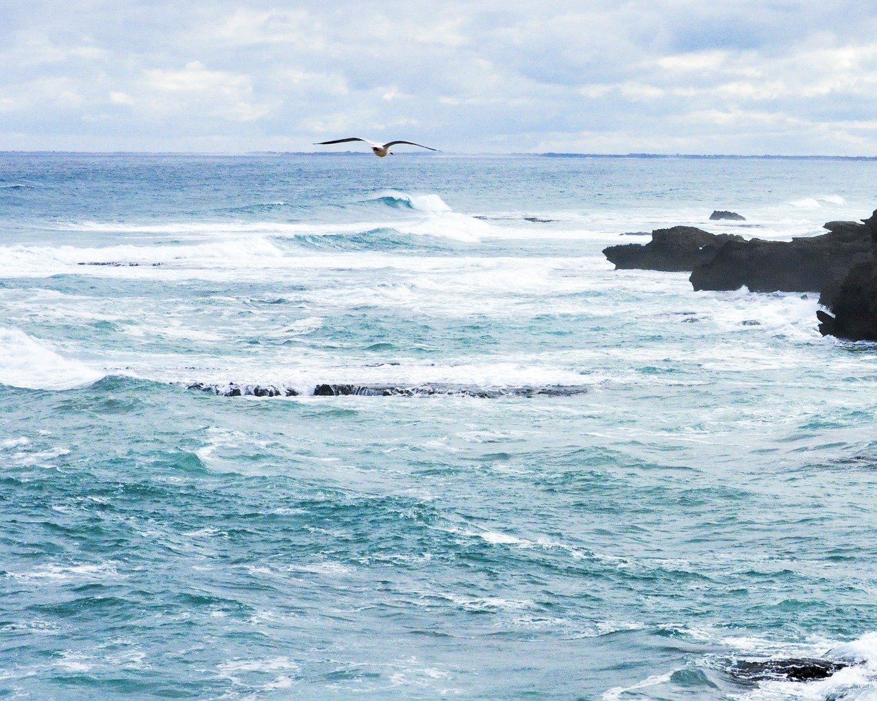 water  sea  wave free photo