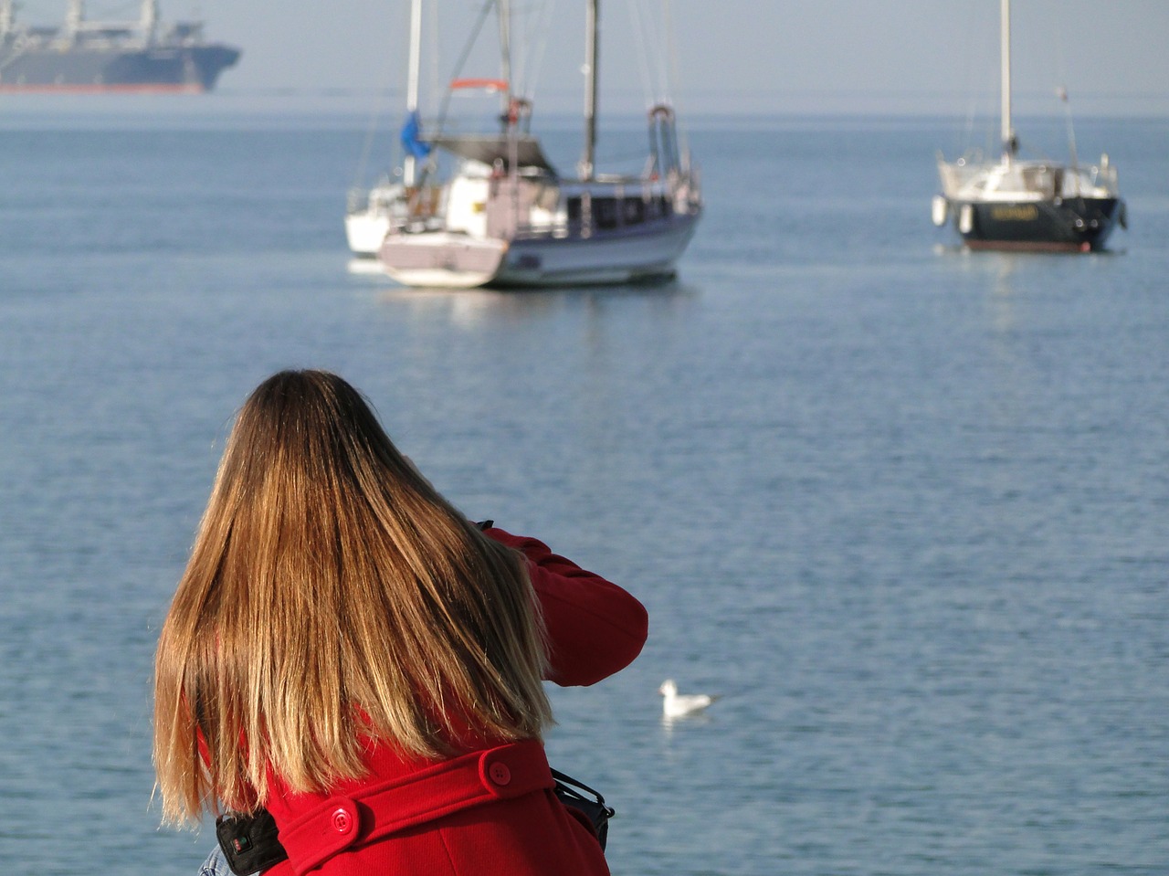 water  sea  ship free photo