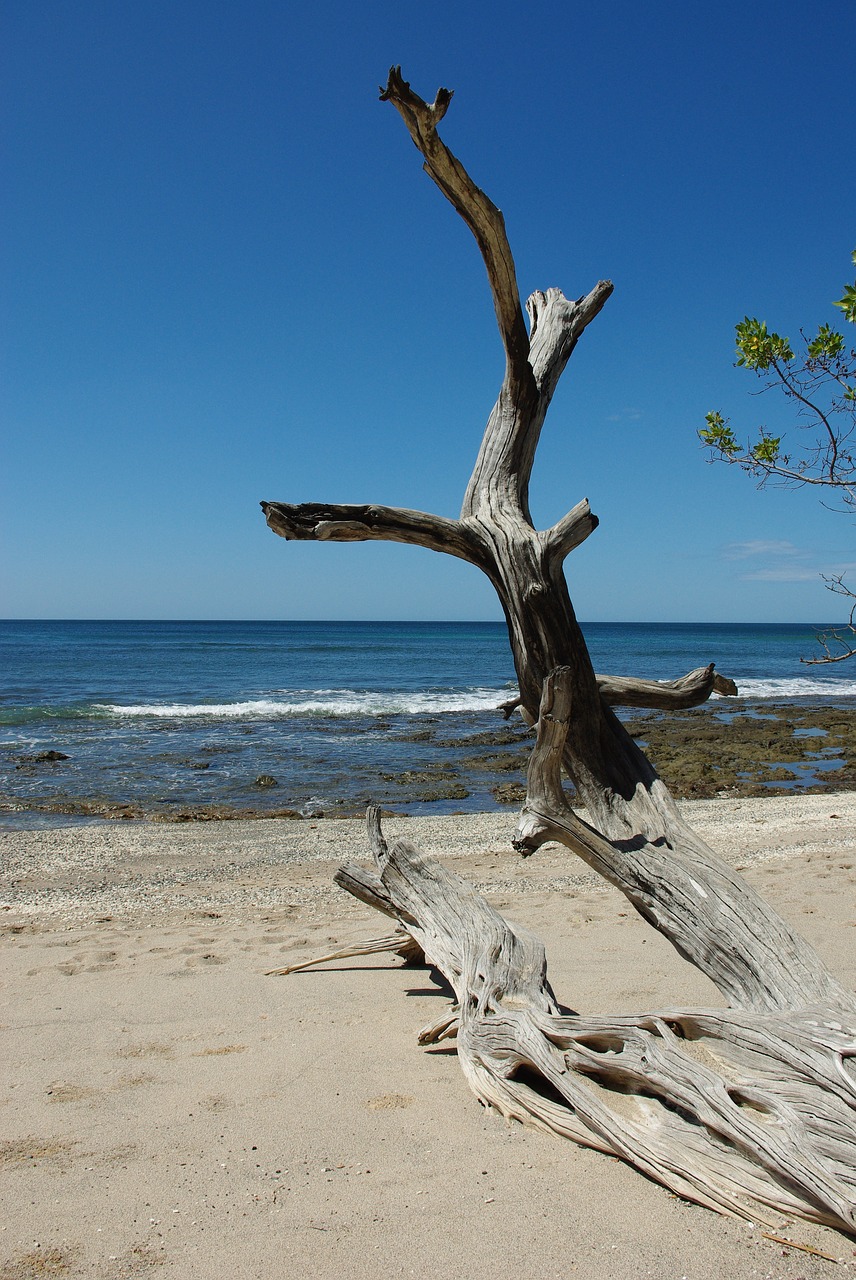 water  sand  sea free photo