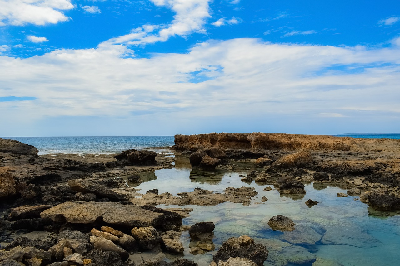 water  sea  seashore free photo