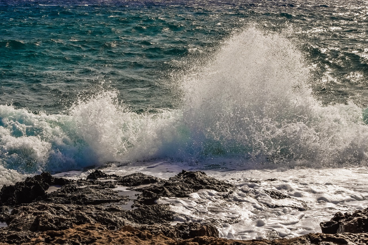 water  surf  wave free photo