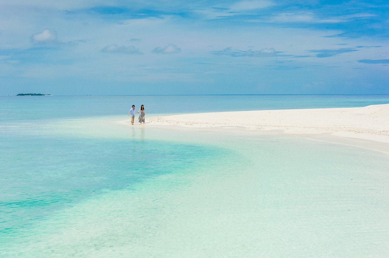 water  sea  beach free photo