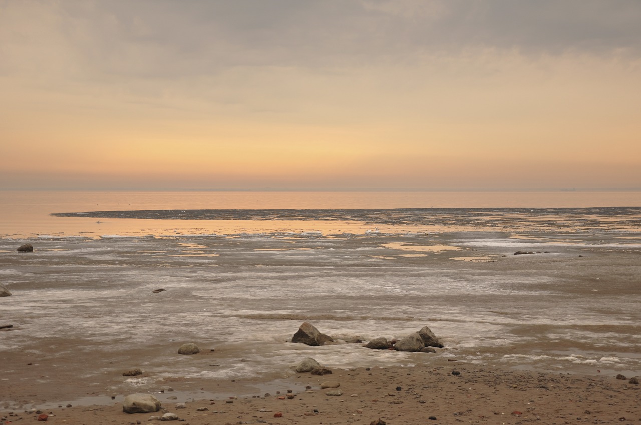 water  sunset  beach free photo