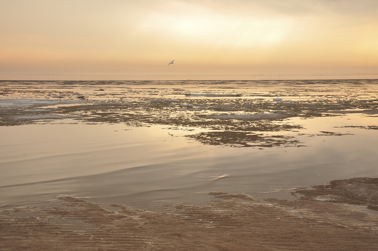 water  sand  beach free photo