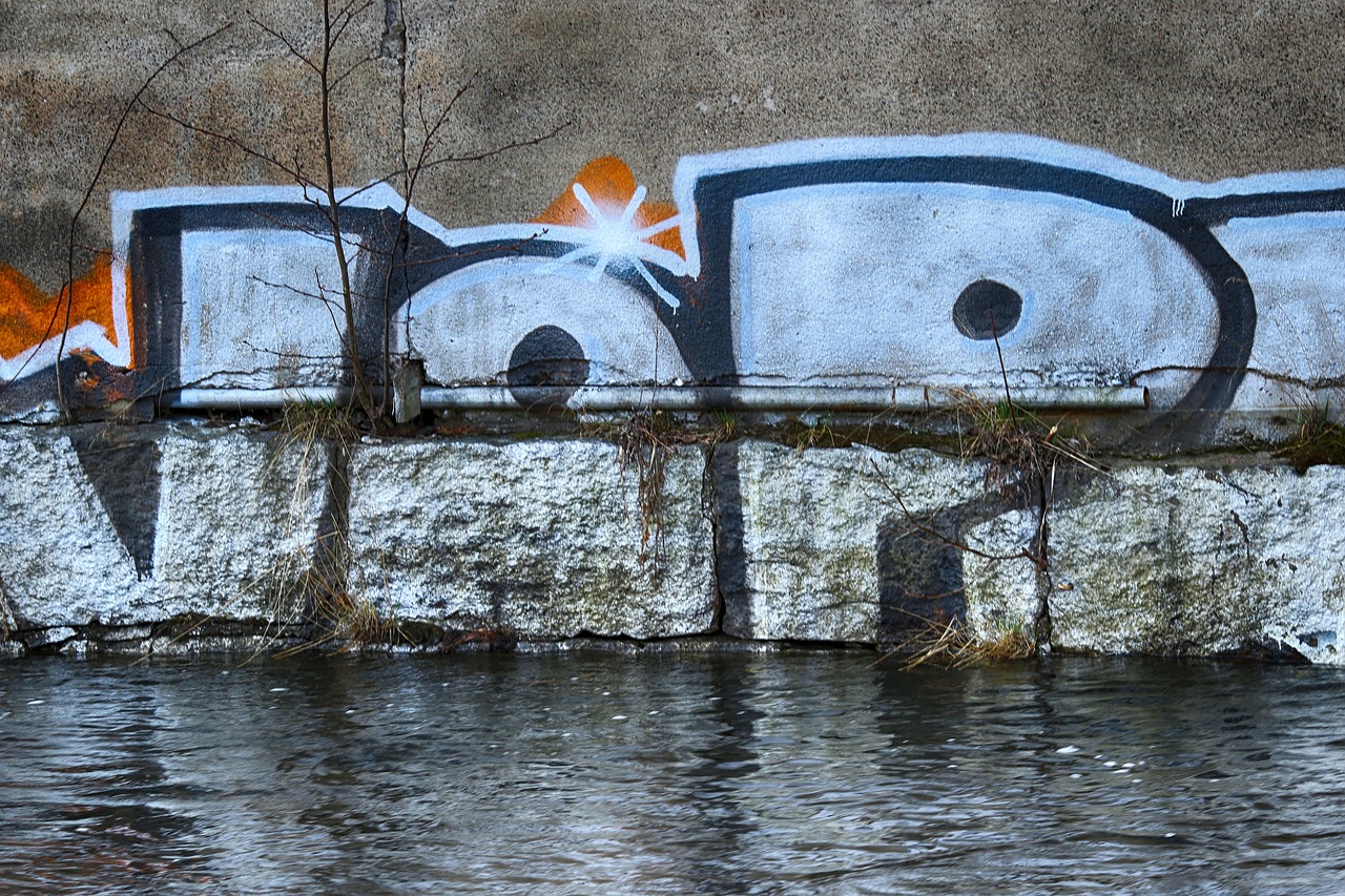 water  reflection  river free photo