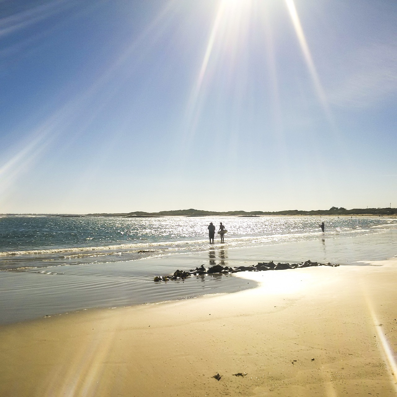 water  beach  sunset free photo