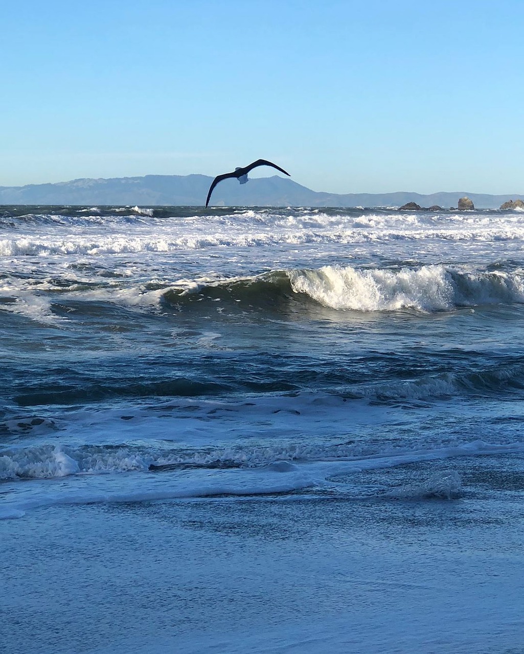 water  sea  surf free photo