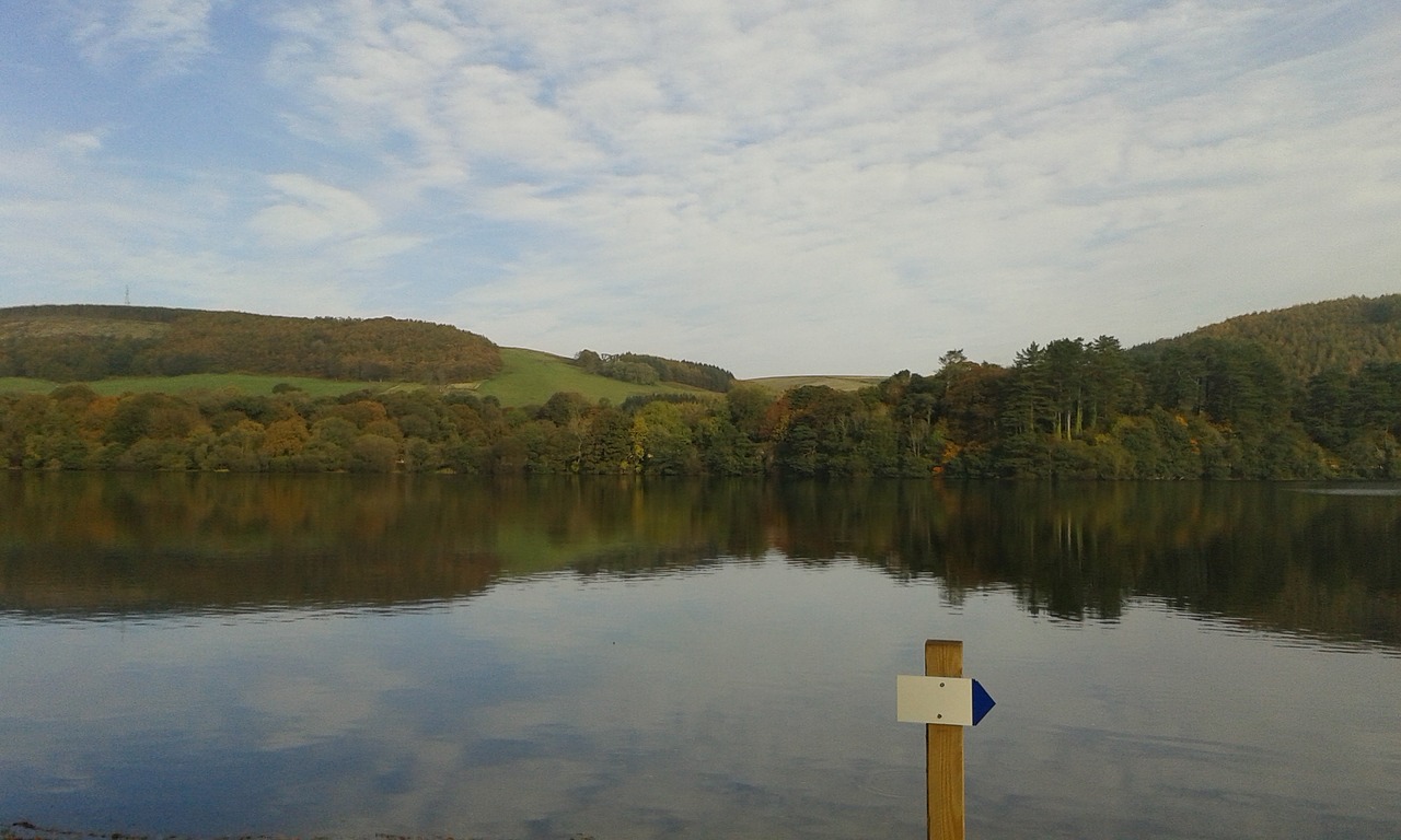 water  nature  lake free photo