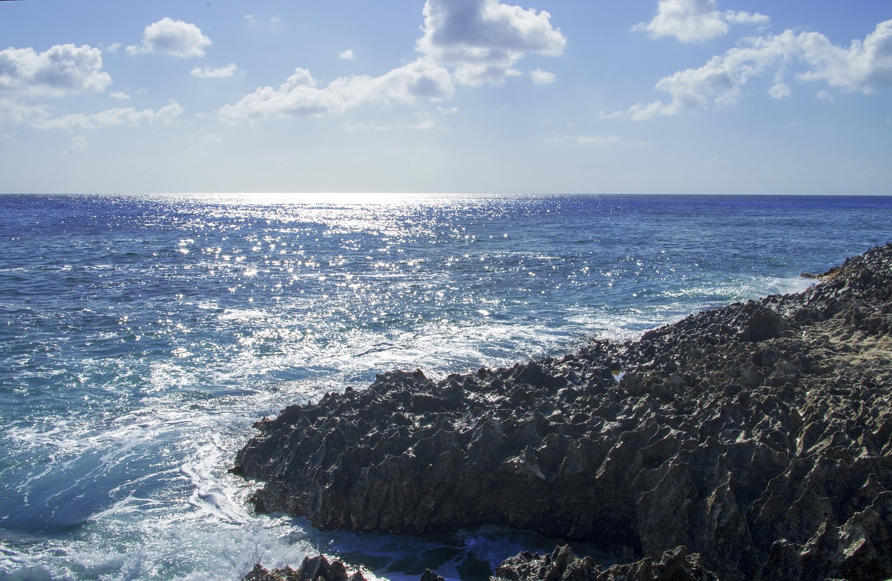 water  sea  seashore free photo