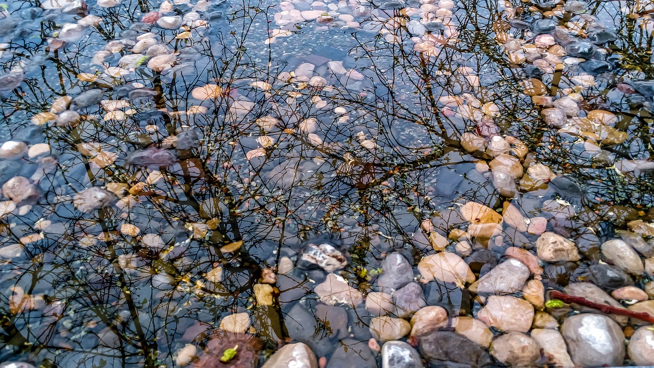 water  highlights  nature free photo