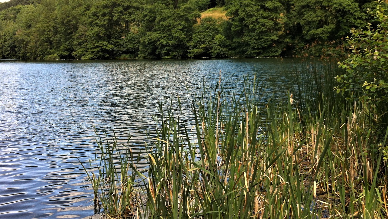 water  nature  outdoors free photo