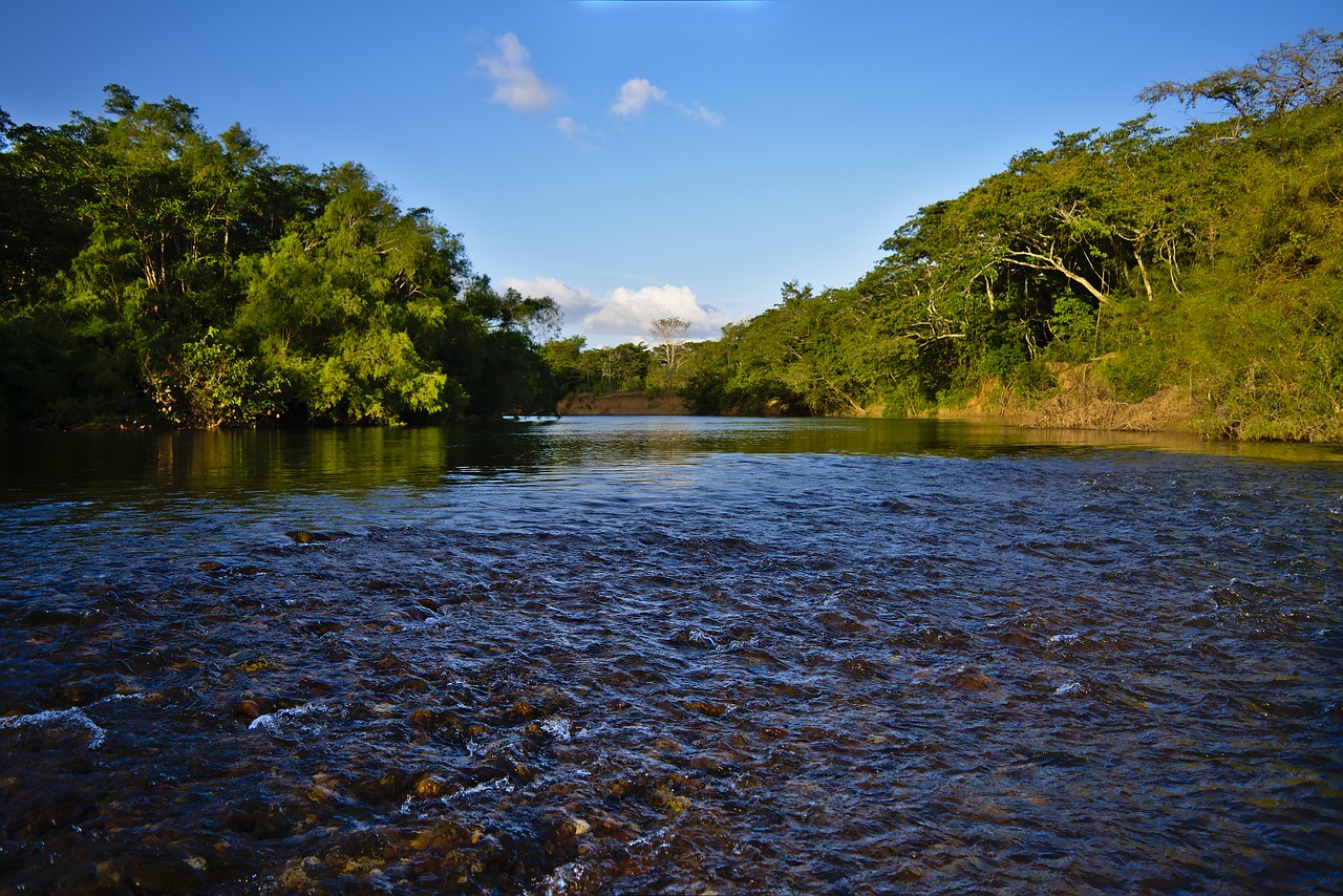 water  nature  river free photo