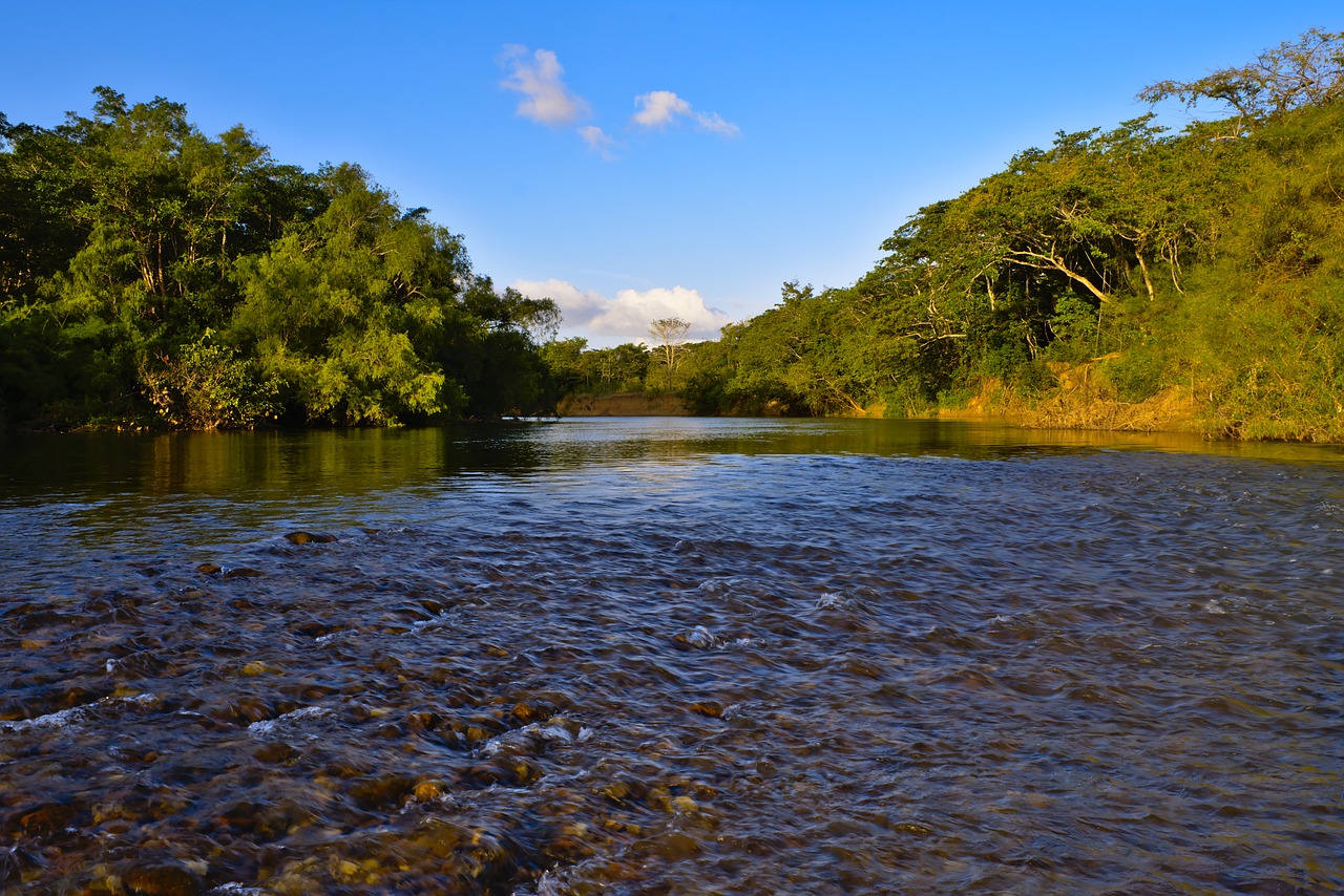 water  nature  river free photo