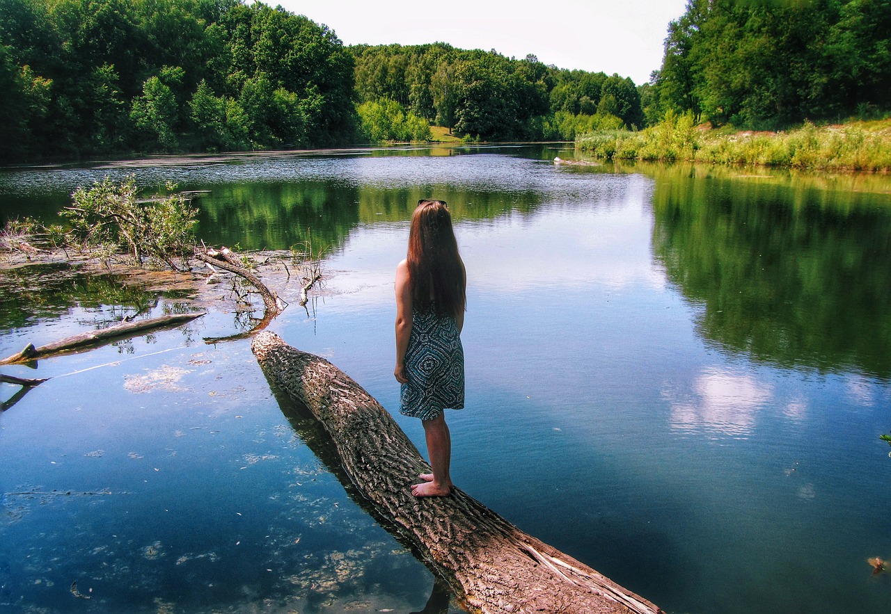 water  nature  lake free photo