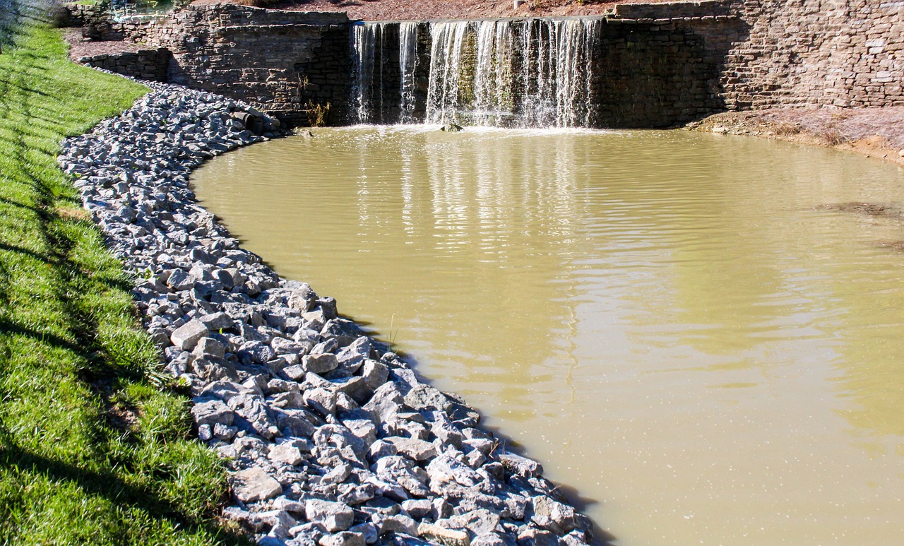 water  nature  river free photo