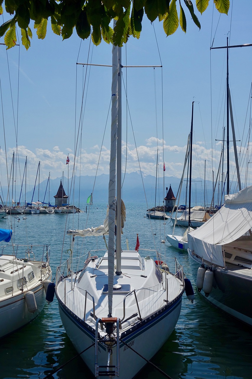 water  sailboats  yachts free photo