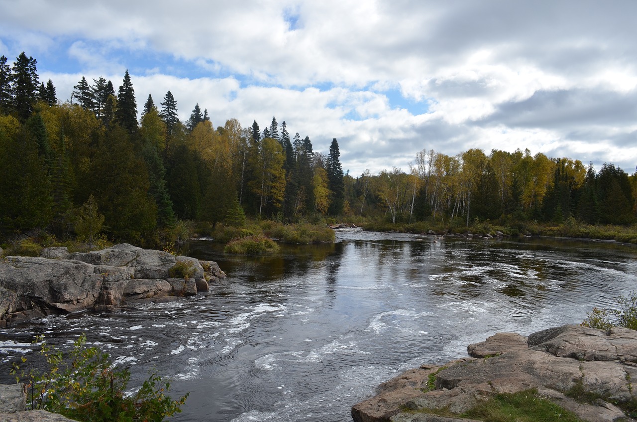 water  nature  river free photo