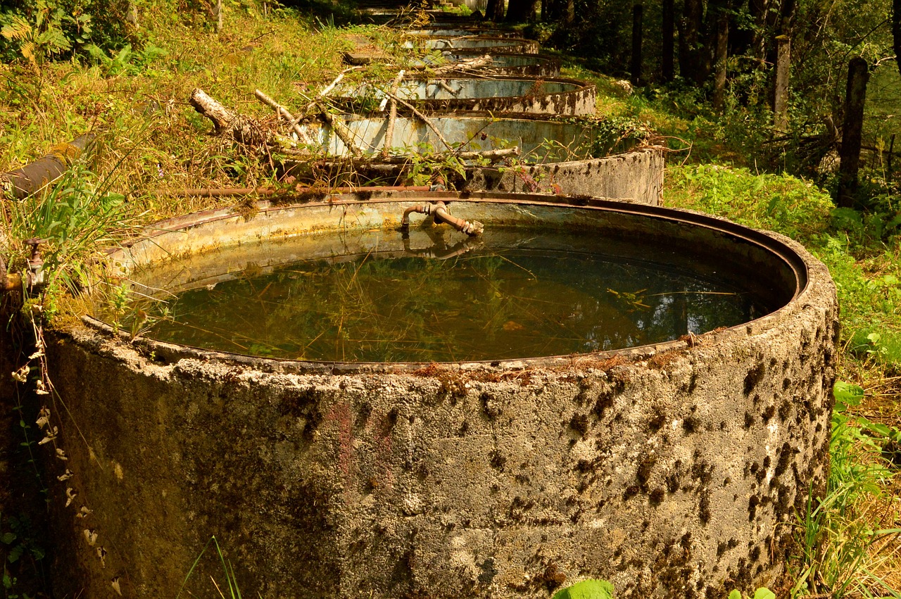 water  water tank  water-plant free photo