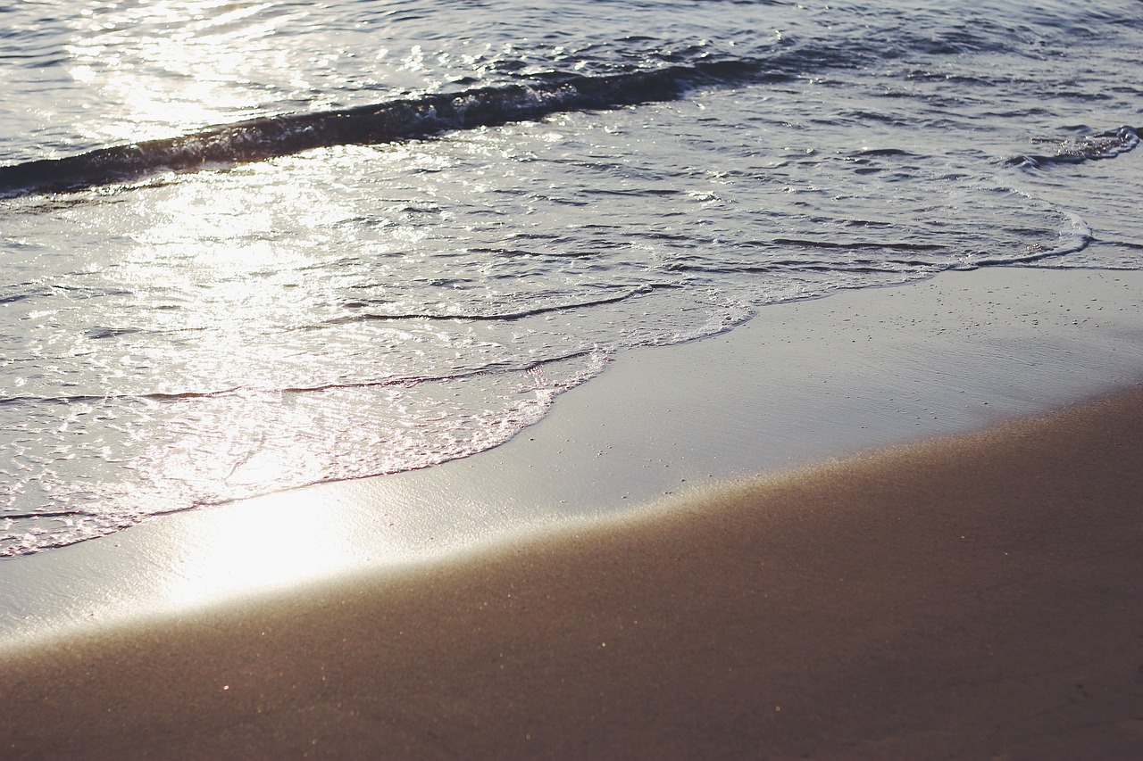 water  sea  beach free photo