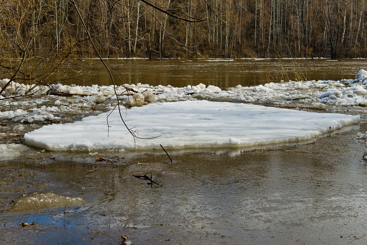 water  nature  river free photo