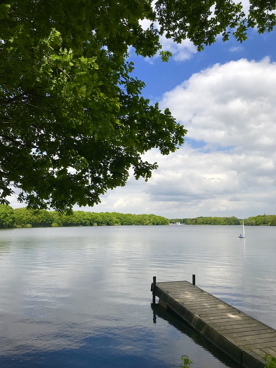 water  lake  tree free photo