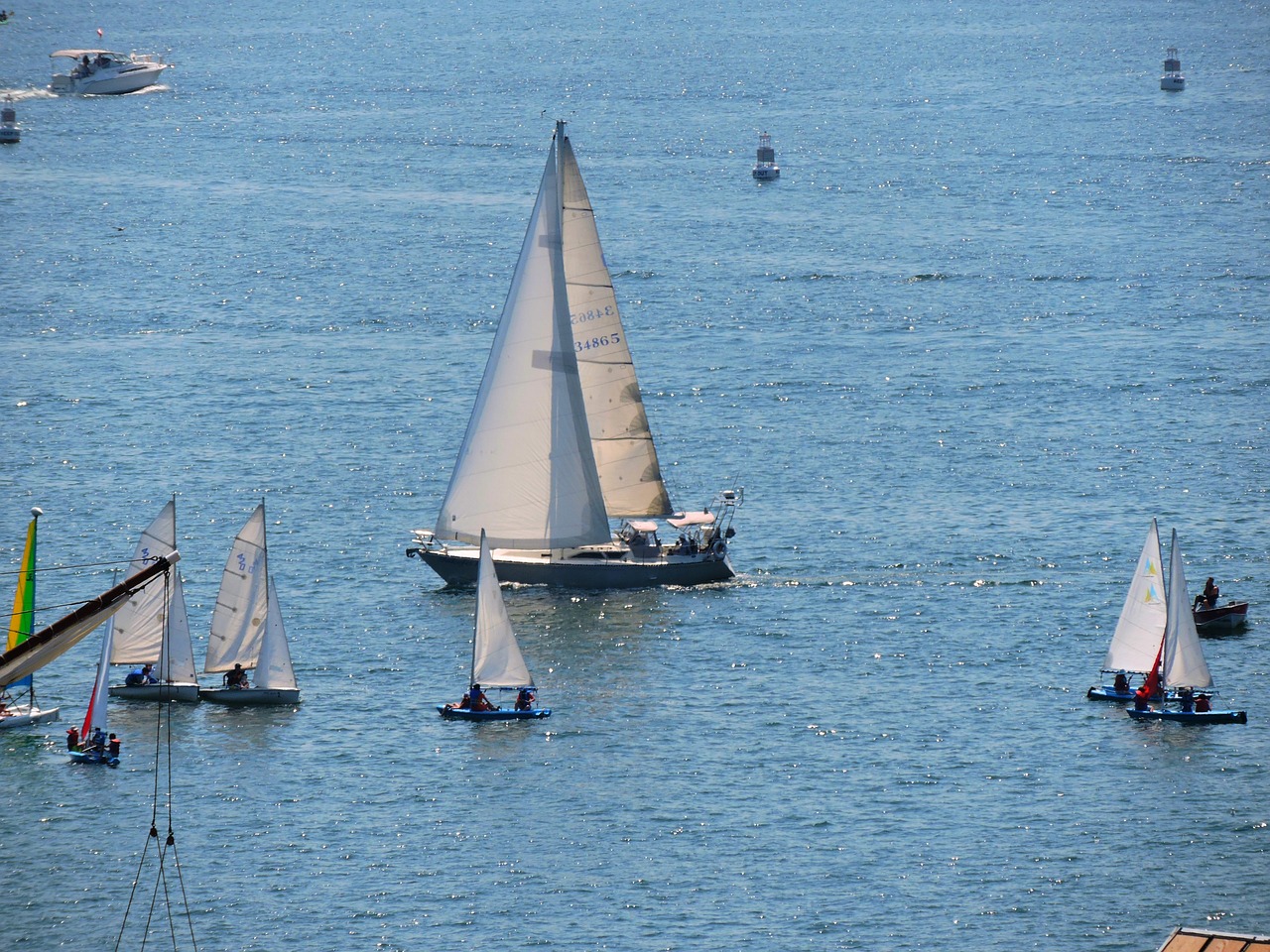 water  sea  sailboat free photo