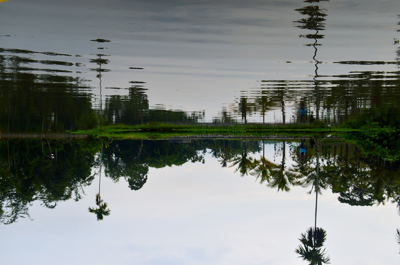 water  reflection  nature free photo