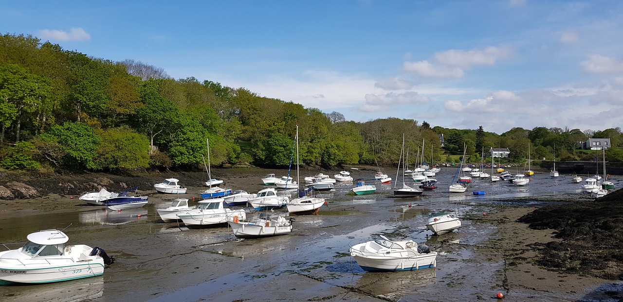 water  nature  panoramic free photo