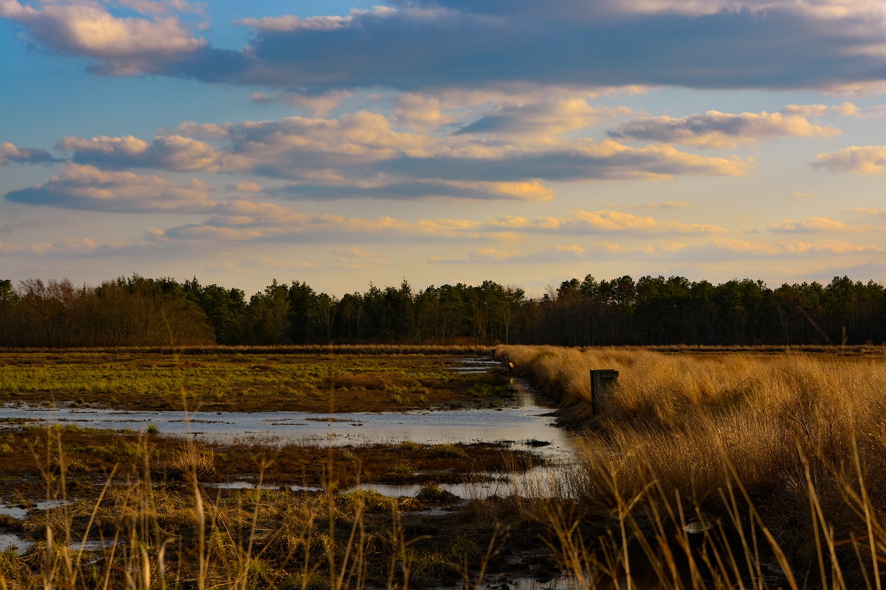 water  nature  landscape free photo