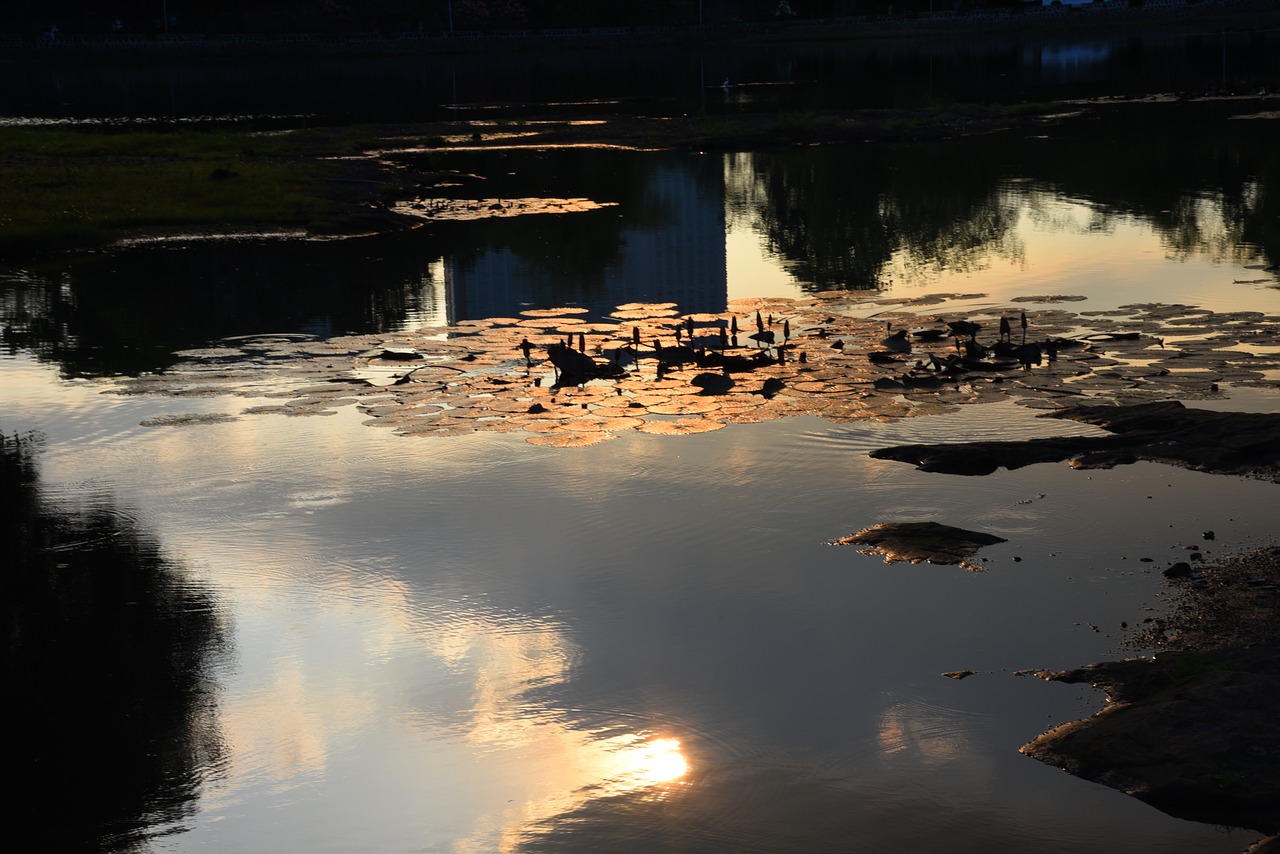 water  outdoors  reflection free photo