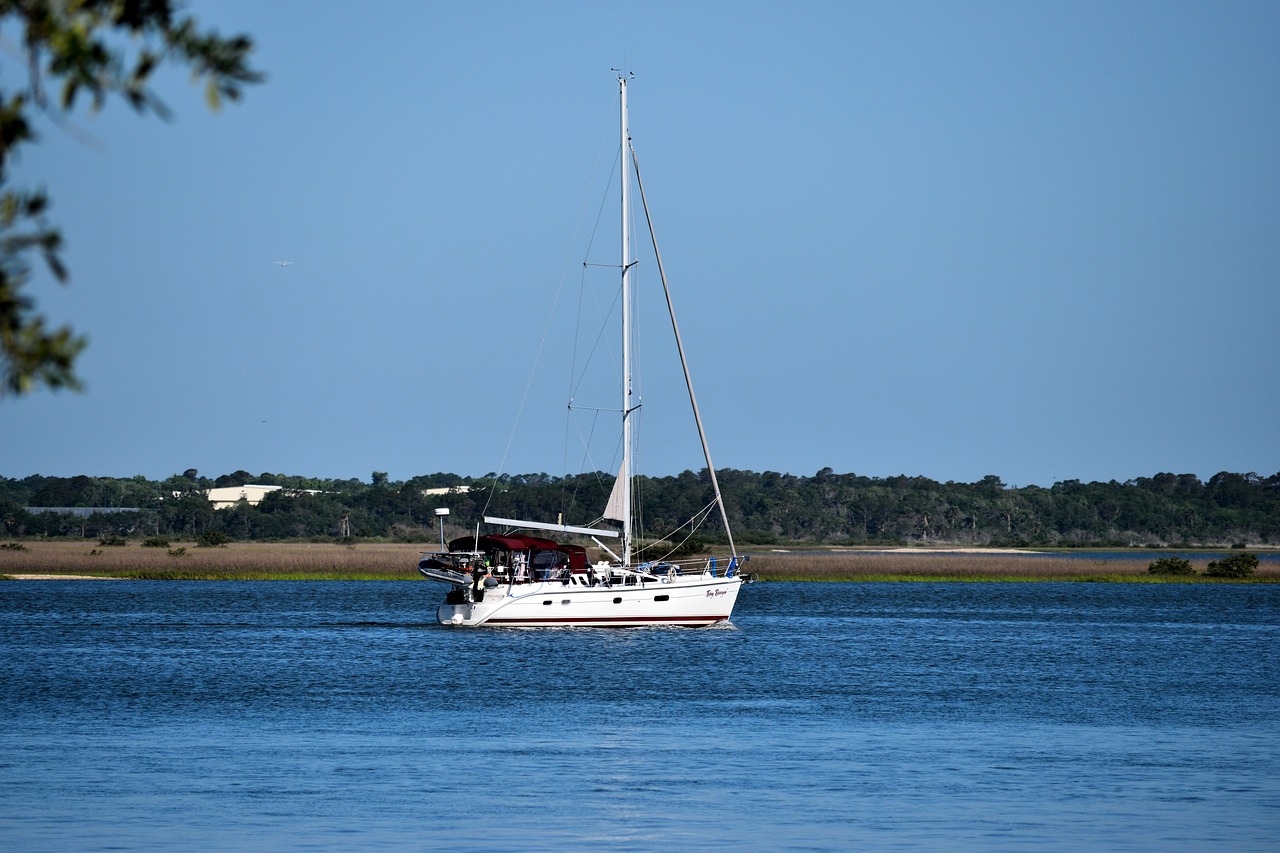 water  sea  summer free photo