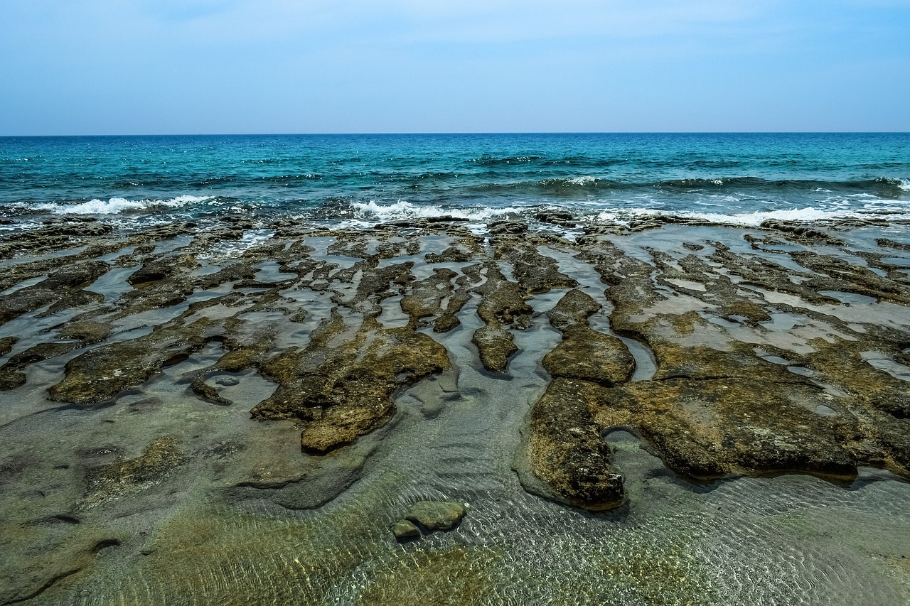 water  seashore  sea free photo