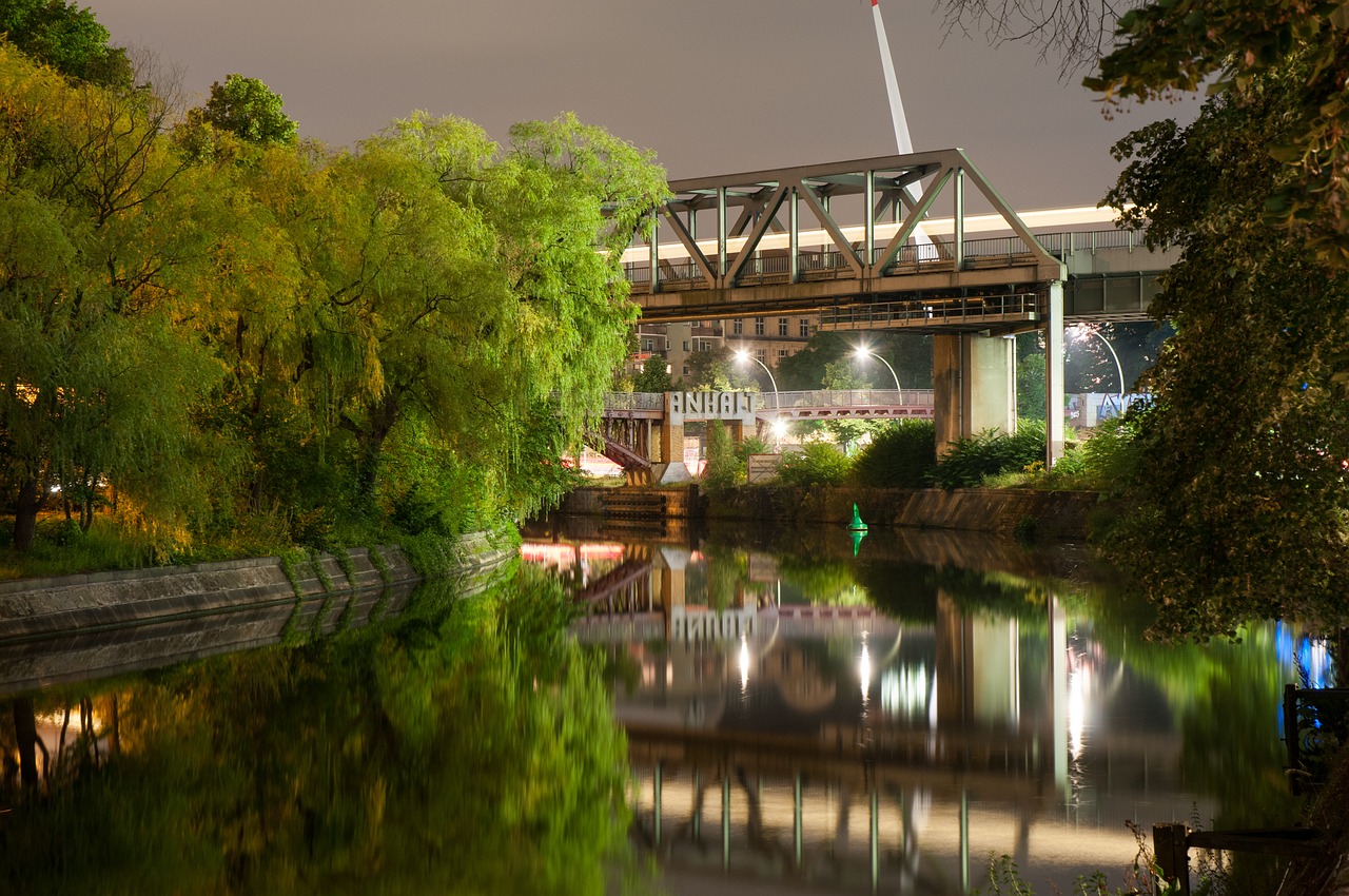 water  tree  garden free photo