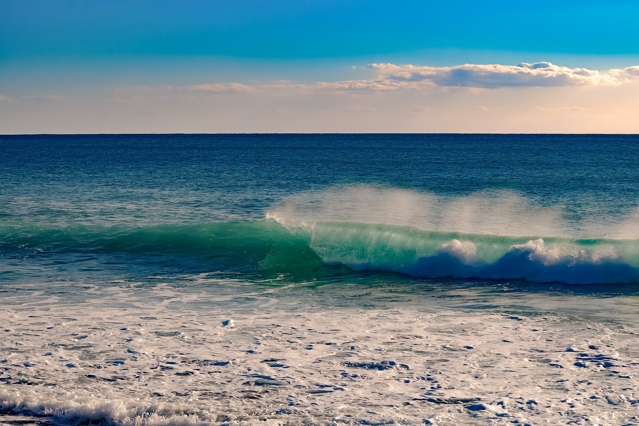 water  sea  wave free photo